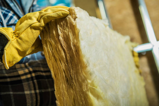 Best Soundproof Insulation Installation  in Mullens, WV