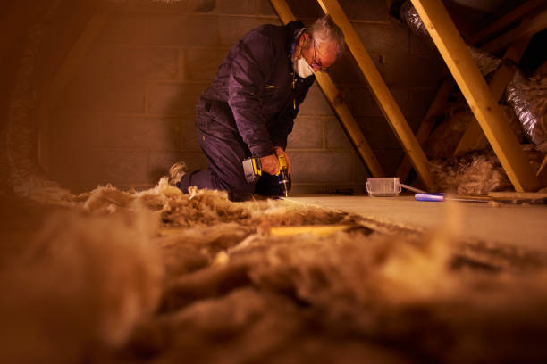 Best Residential Insulation Services  in Mullens, WV