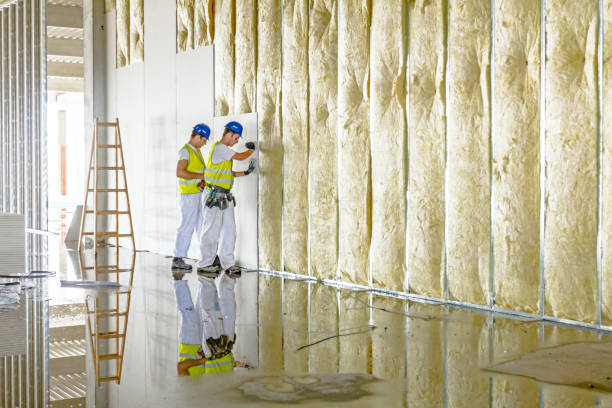 Best Local Insulation Services  in Mullens, WV